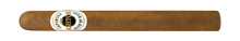 Load image into Gallery viewer, ASHTON <br> CLASSIC