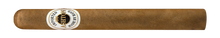 Load image into Gallery viewer, ASHTON <br> CLASSIC