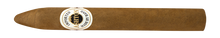 Load image into Gallery viewer, ASHTON <br> CLASSIC