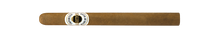 Load image into Gallery viewer, ASHTON <br> CLASSIC