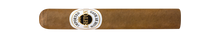 Load image into Gallery viewer, ASHTON <br> CLASSIC