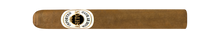Load image into Gallery viewer, ASHTON <br> CLASSIC