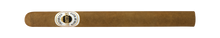 Load image into Gallery viewer, ASHTON <br> CLASSIC
