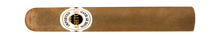 Load image into Gallery viewer, ASHTON <br> CLASSIC