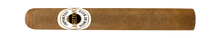 Load image into Gallery viewer, ASHTON <br> CLASSIC