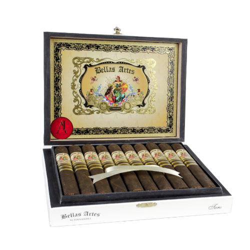 AJ FERNANDEZ <br> BELLAS ARTES <br> BRAZIL MADURO