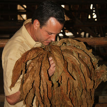Load image into Gallery viewer, MARCUS DANIEL® <br> HABANO <br> Miami Collection