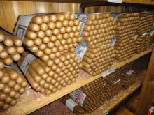 Load image into Gallery viewer, WE THE PEOPLE™ CABINET CIGAR [NATURAL] by MARCUS DANIEL®
