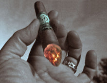Load image into Gallery viewer, MARCUS DANIEL® <br> SHADE GROWN <br> Classic